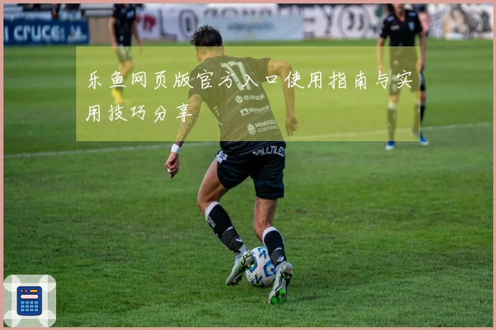 乐鱼网页版官方入口使用指南与实用技巧分享