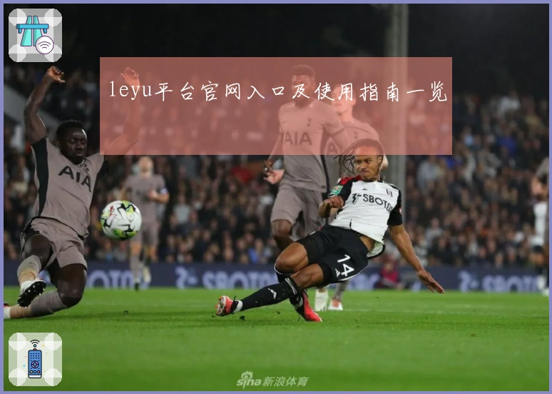 leyu平台官网入口及使用指南一览