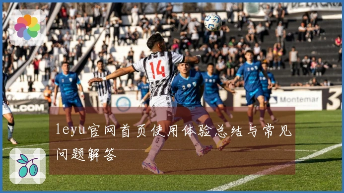 leyu官网首页使用体验总结与常见问题解答