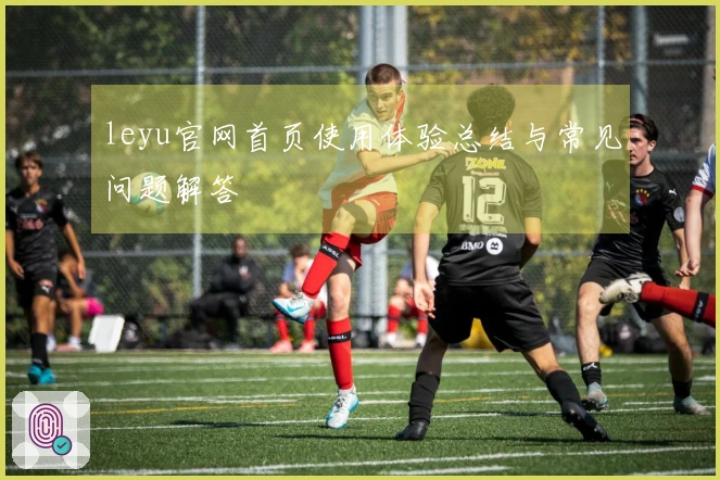 leyu官网首页使用体验总结与常见问题解答