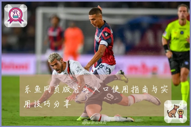 乐鱼网页版官方入口使用指南与实用技巧分享