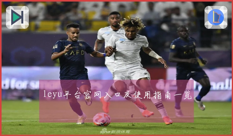 leyu平台官网入口及使用指南一览