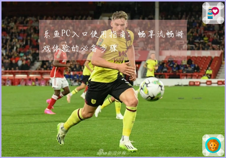 乐鱼PC入口使用指南：畅享流畅游戏体验的必备步骤