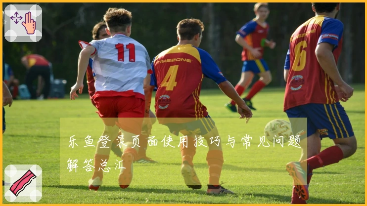 乐鱼登录页面使用技巧与常见问题解答总汇